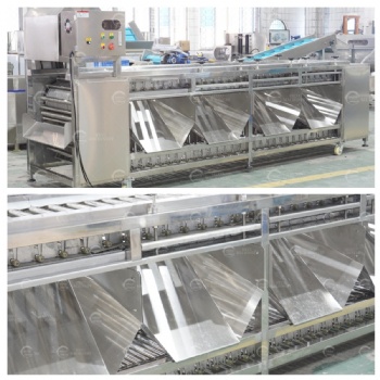 Roller Type Sorting Grading Machine