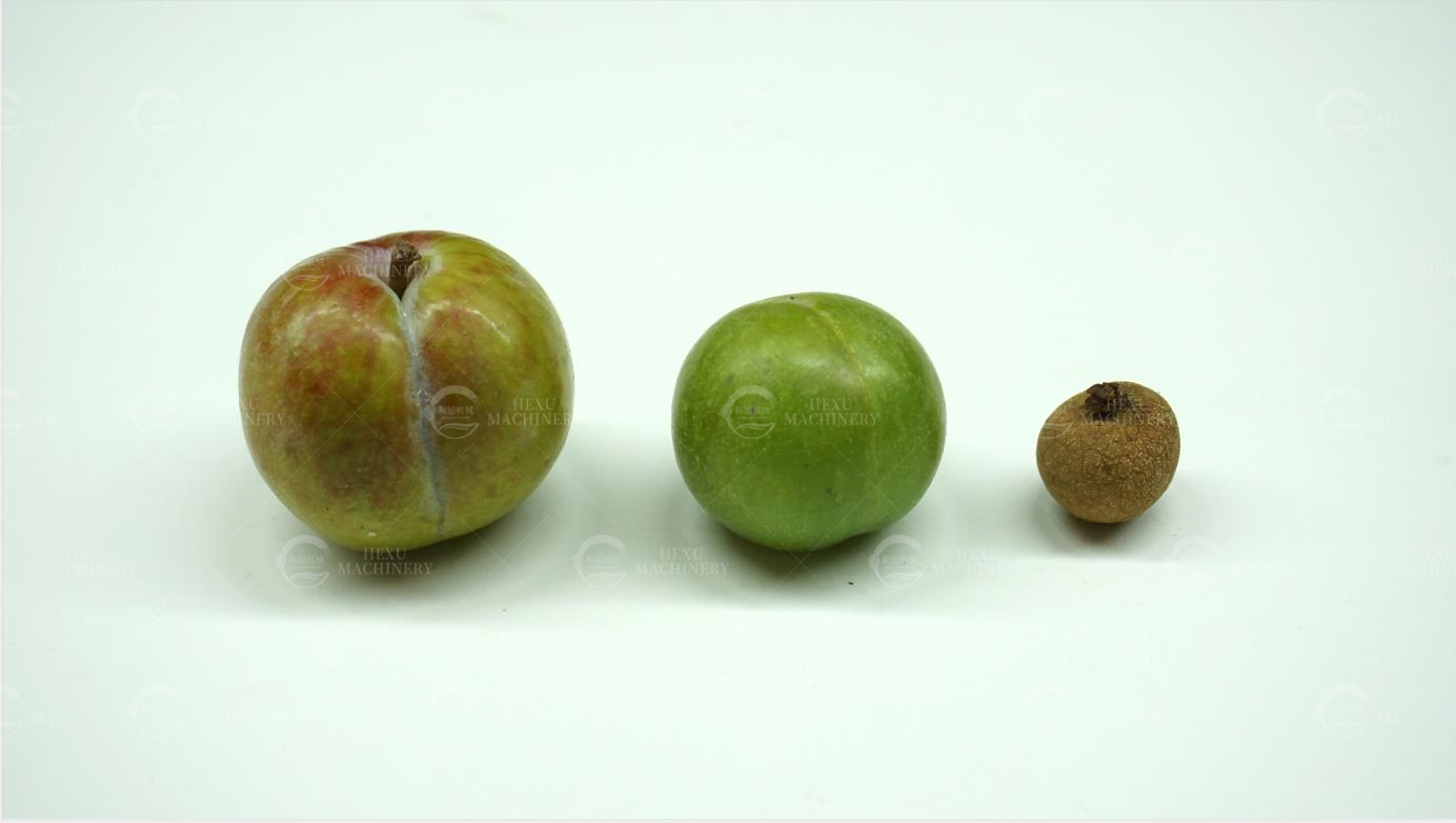 DSC09293.jpg DSC09293.jpg