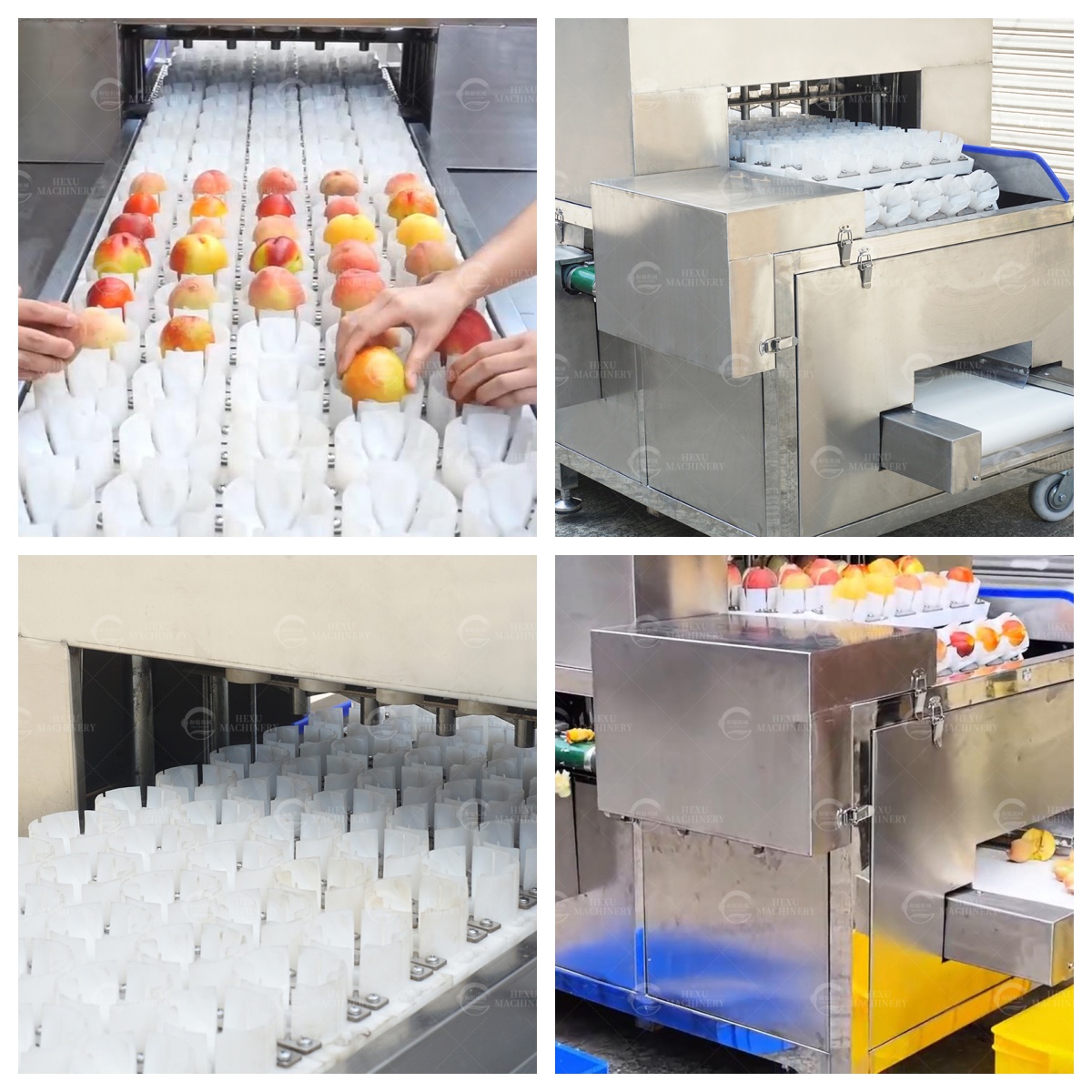 peach pitting and cutting machine