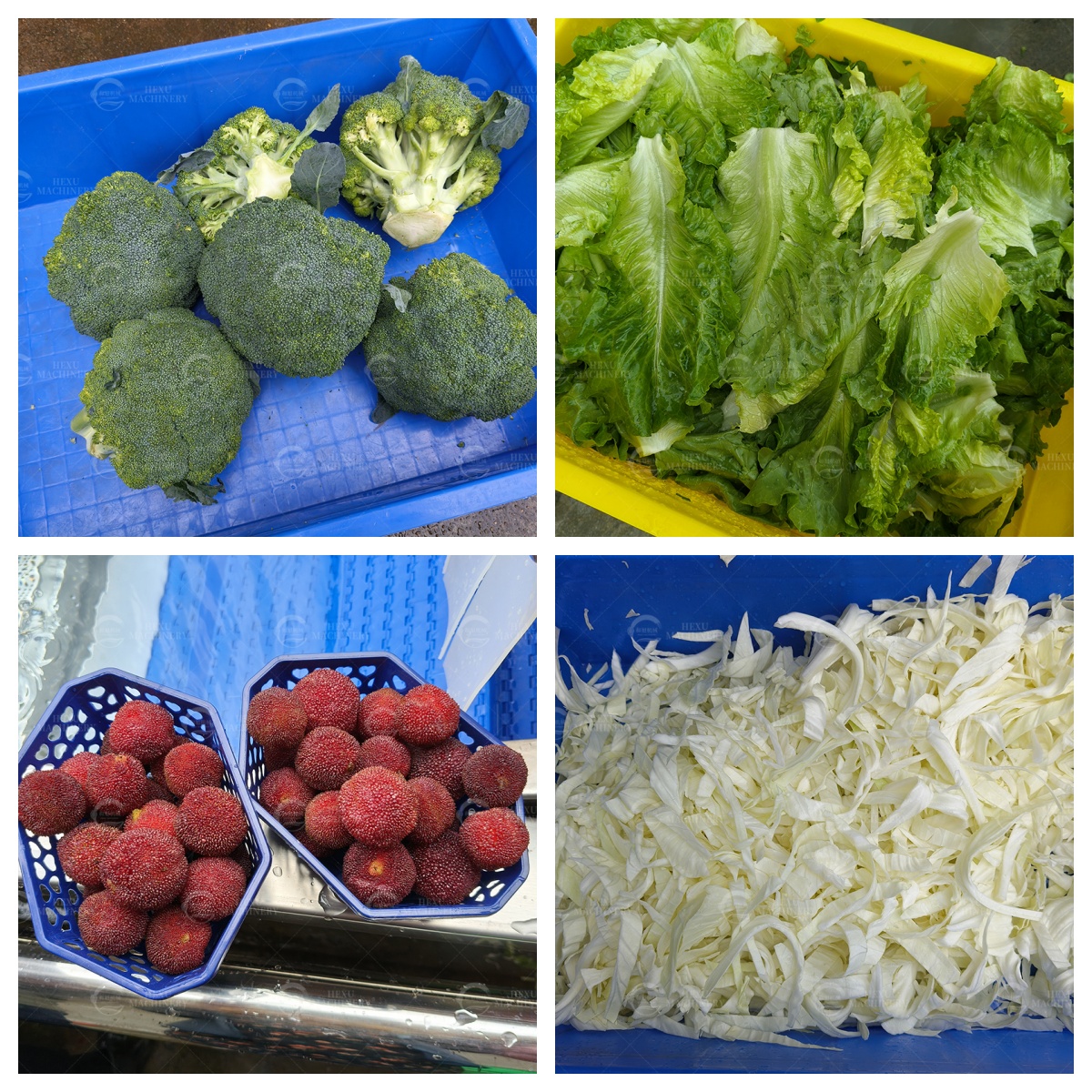 broccoli washing machine