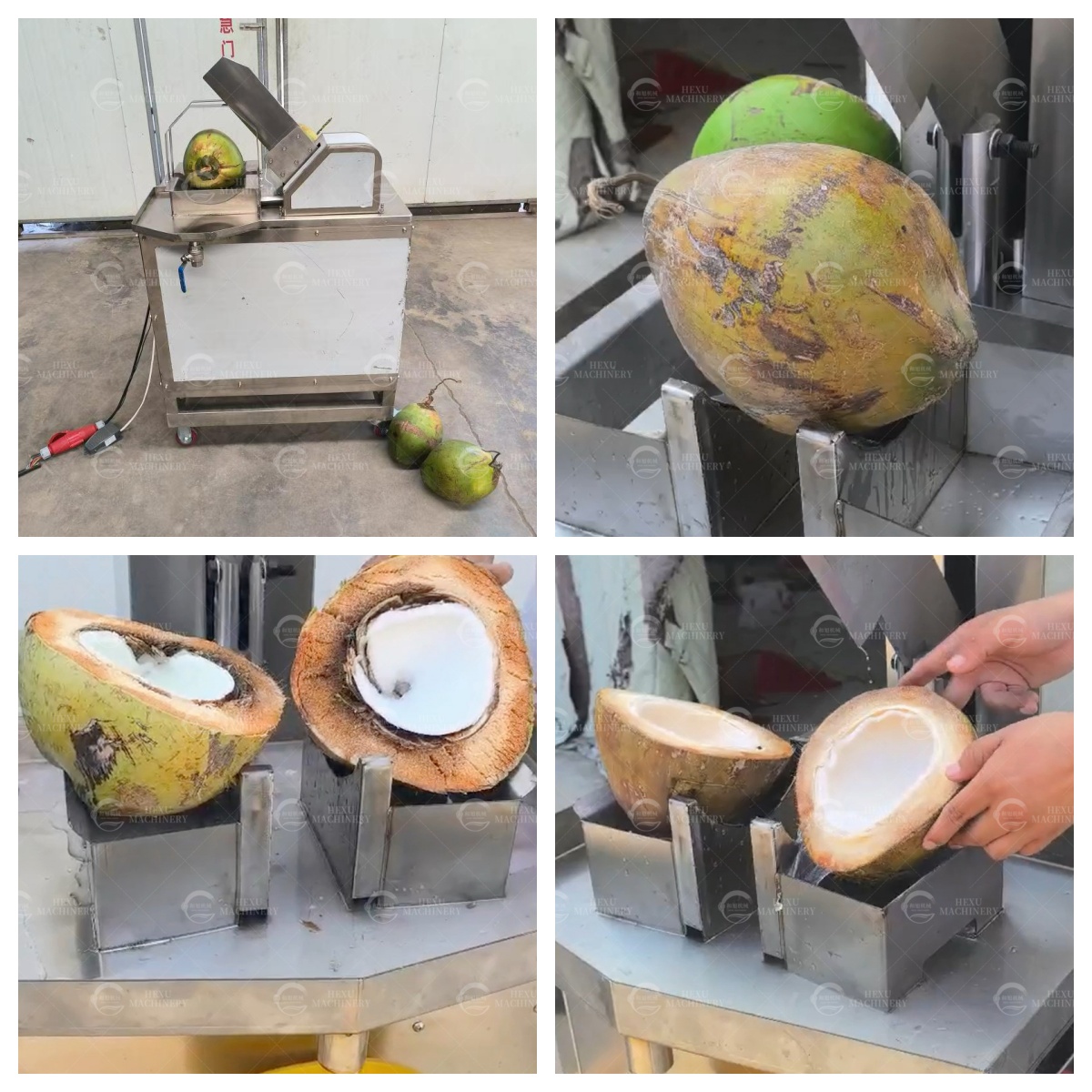 coconut half cutting machine