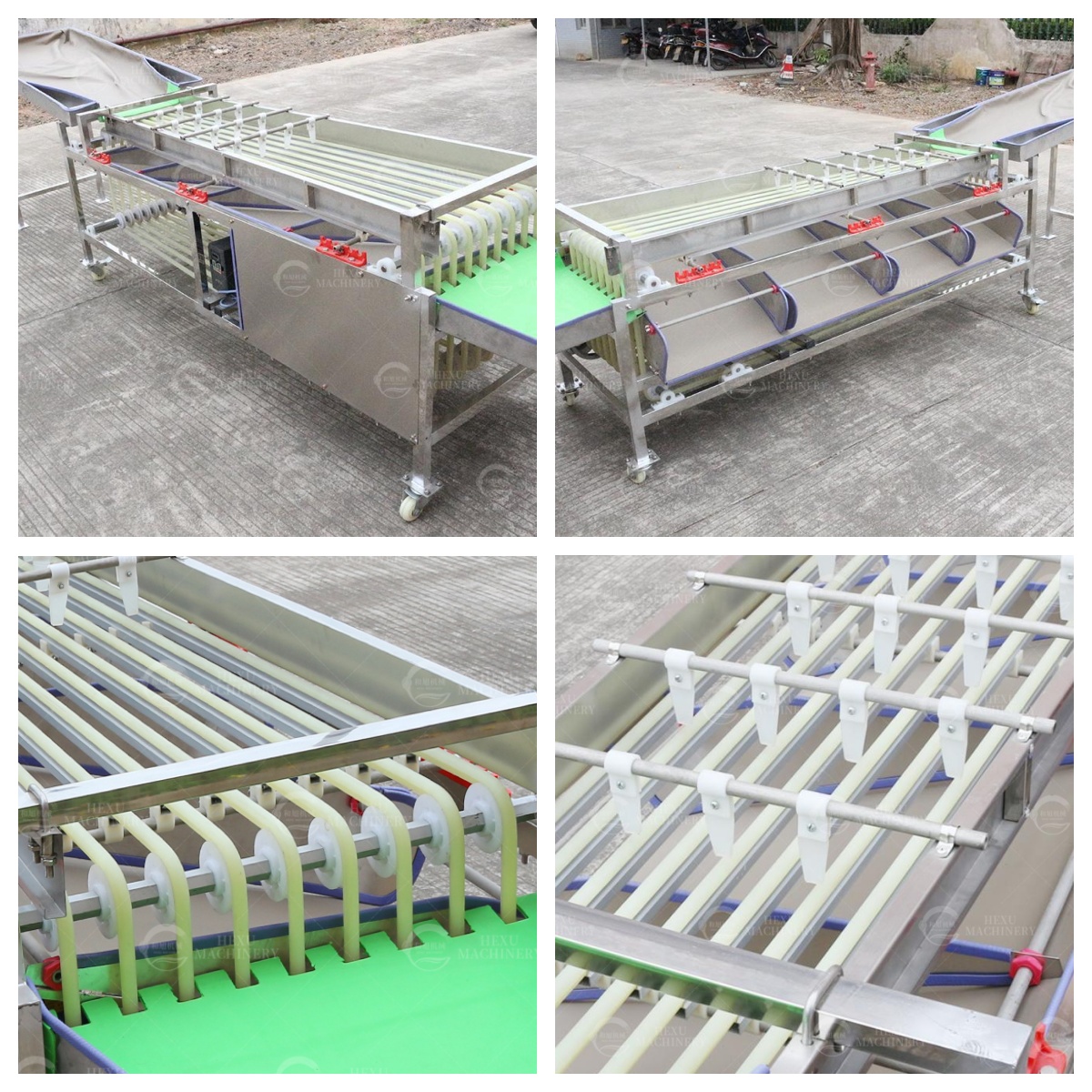 皮带分级机,椰枣分级机 皮带分级机,椰枣分级机