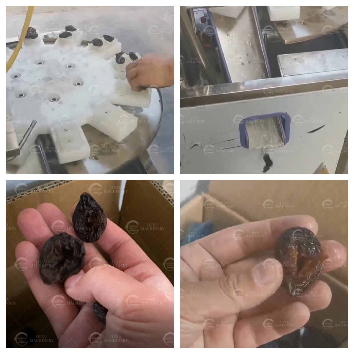 dried plum pitting machine
