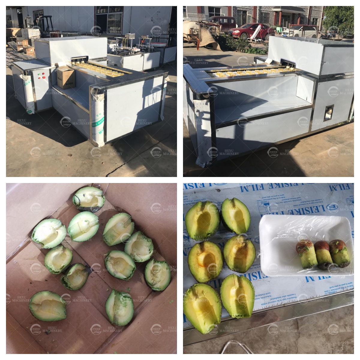 avocado pitting machine, avocado coring machine