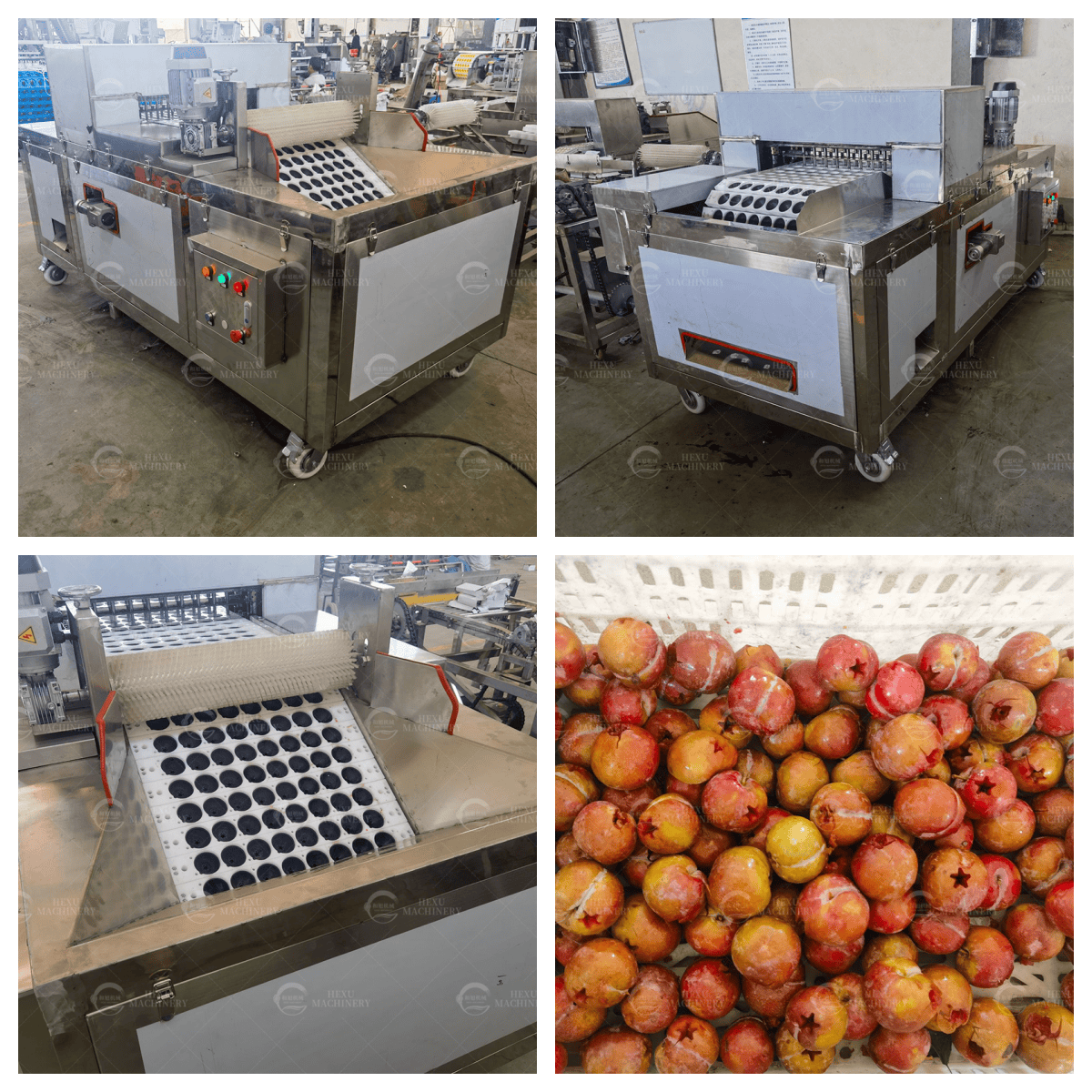 plum pitting machine