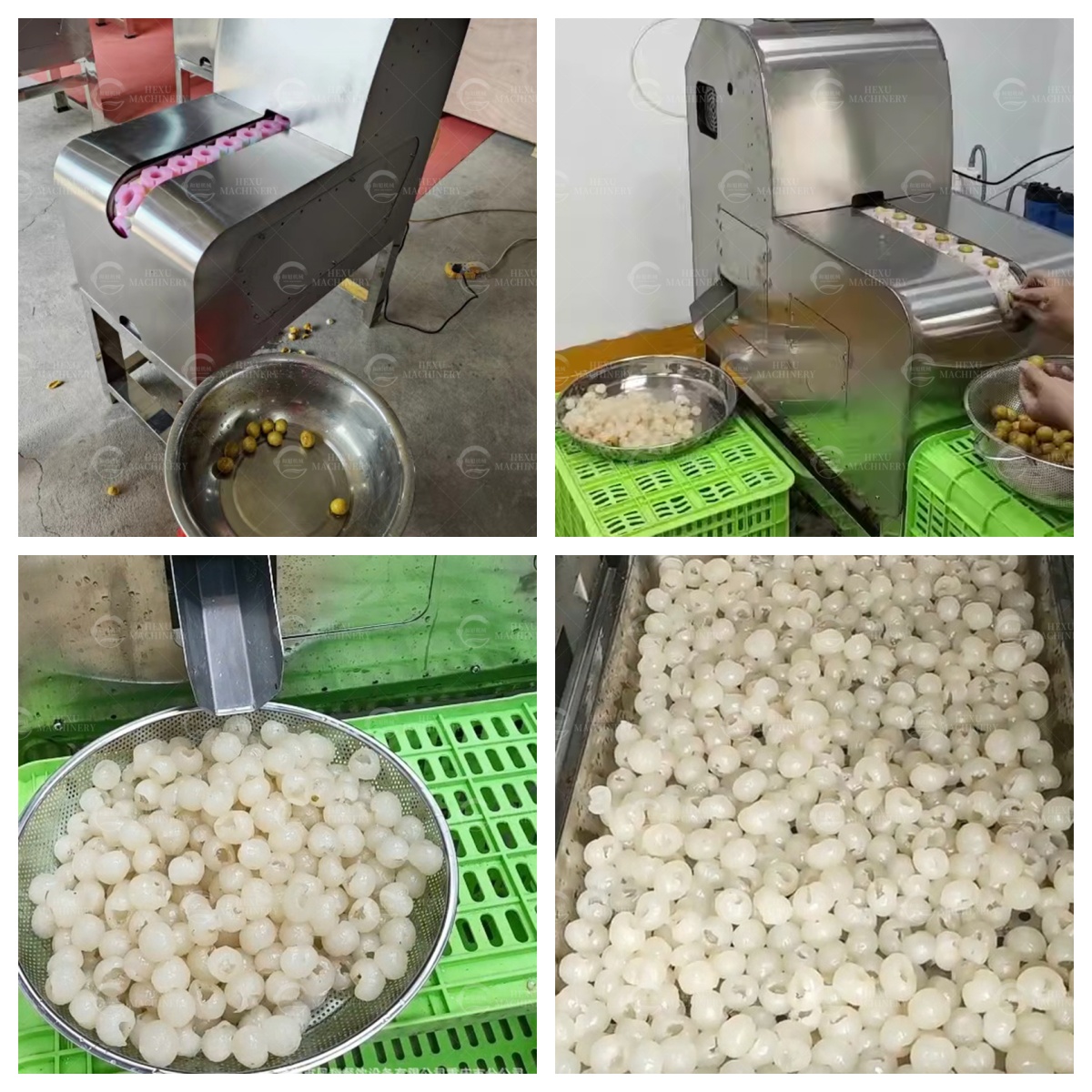 longan peeling coring machine