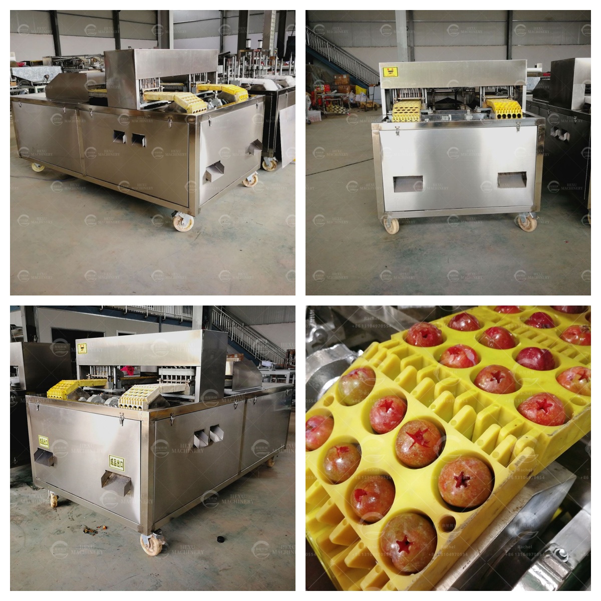 plum pitting machine