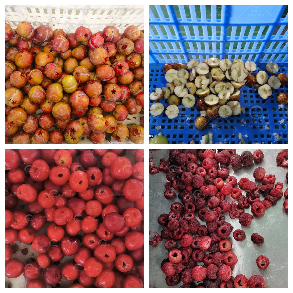 fruits coring machine