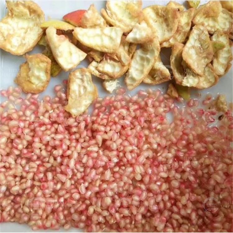 pomegranate seeds extracting machine