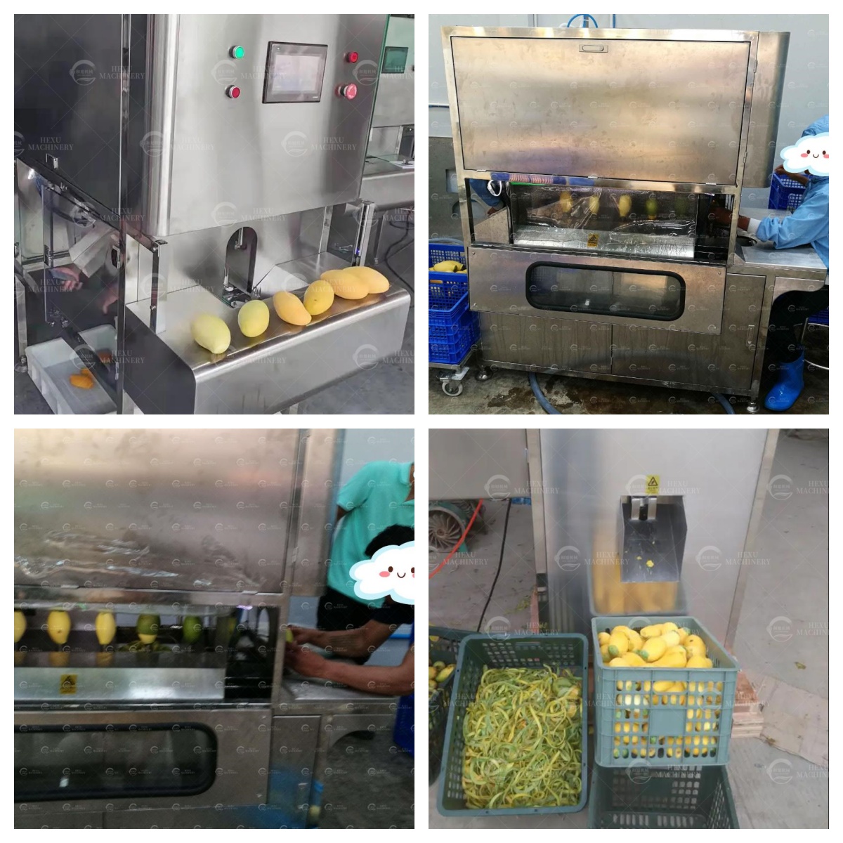 mango peeling machine