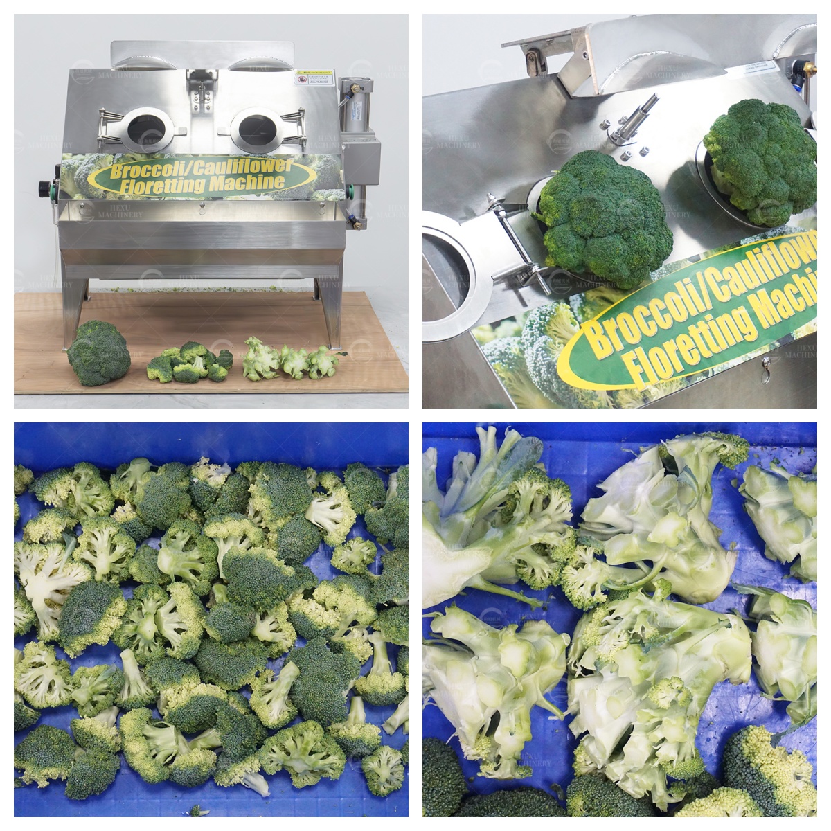 broccoli floret cutting machine