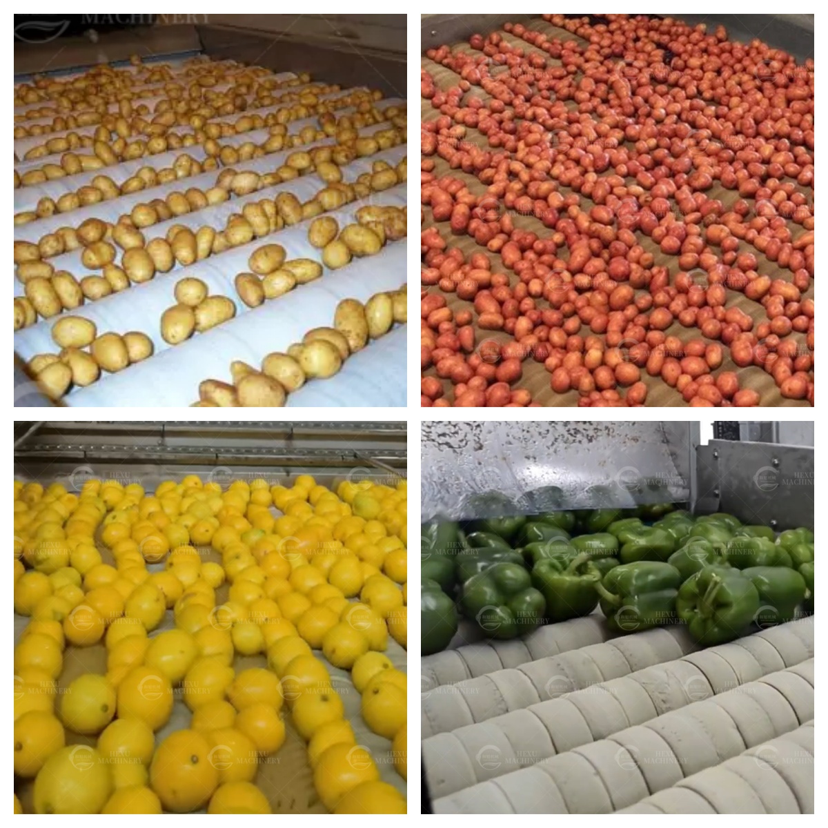 sponge drying machine