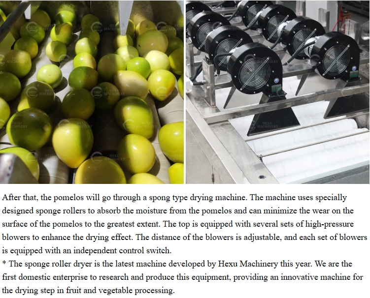 fresh fruits washing and drying processing line