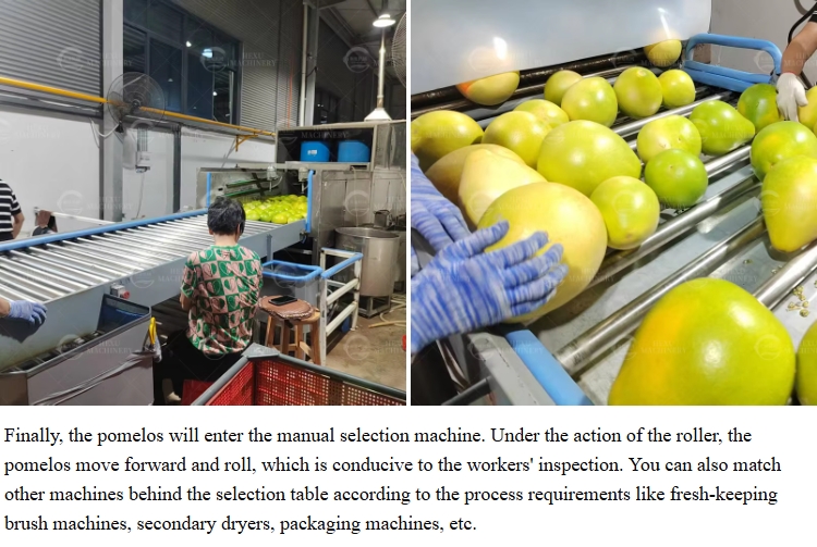 industrial fruits production line