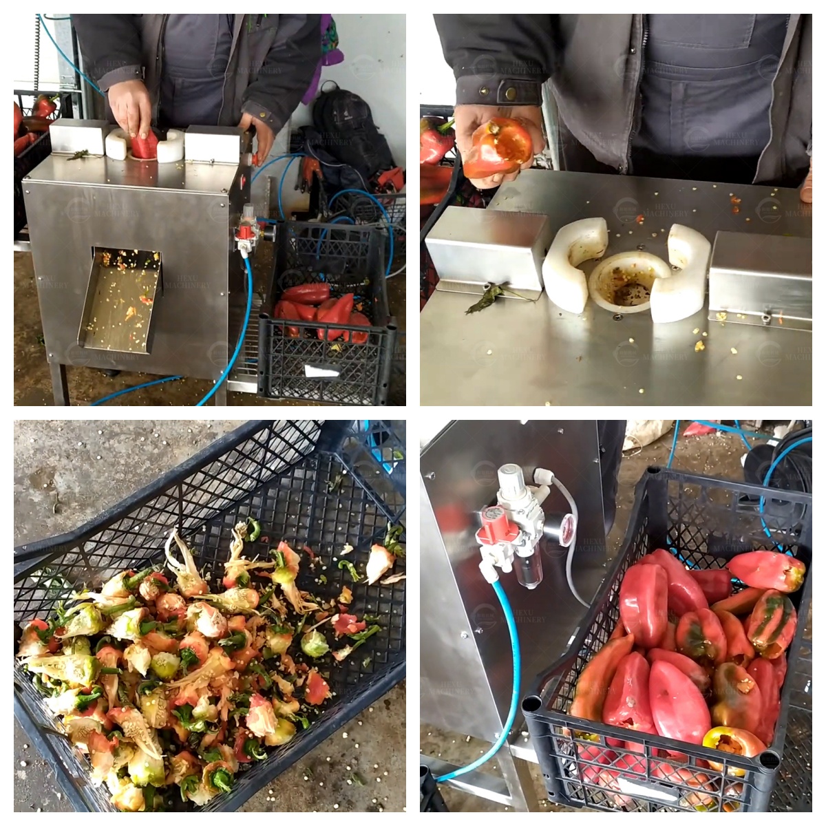 pepper coring machine pepper seeds removing machine