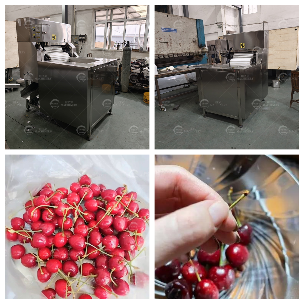 樱桃去梗机 樱桃去把机 樱桃去柄机