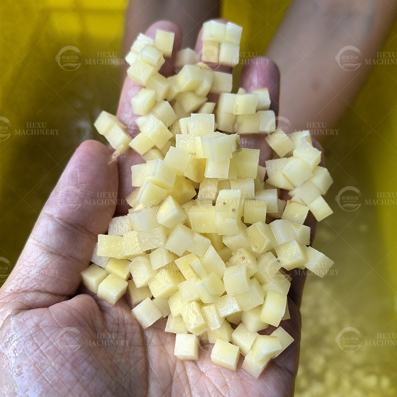 IMG_20240623_162313.jpg IMG_20240623_162313.jpg