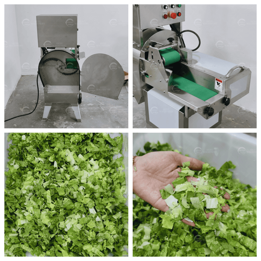 lettuce cutting machine cabbage cutting machine lettuce cutting machine cabbage cutting machine