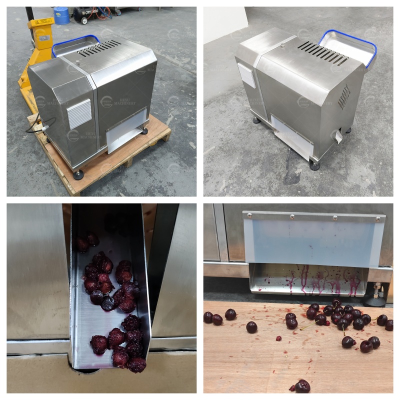 longan pitting machine longan pitter machine