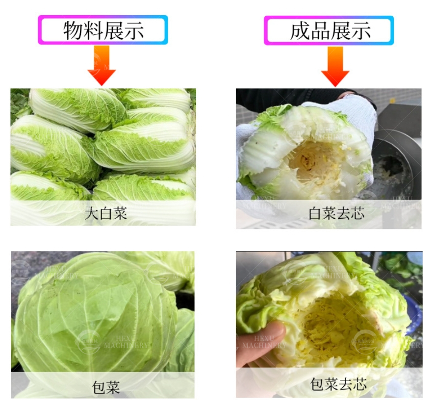 cabbage coring machine