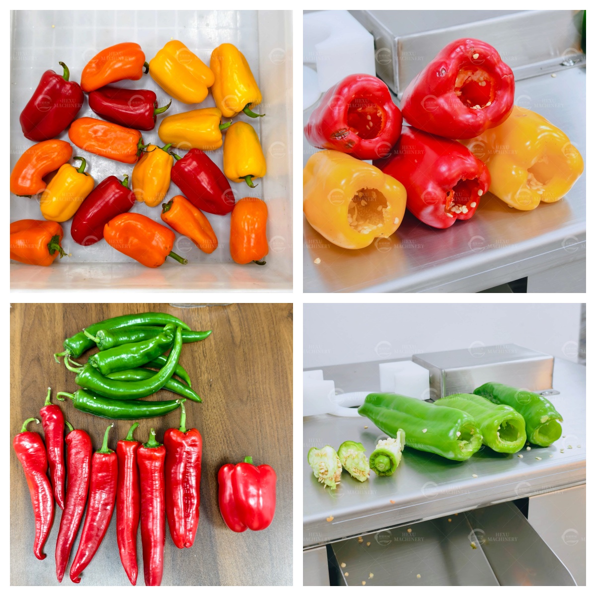 pepper coring machine chili coring machine