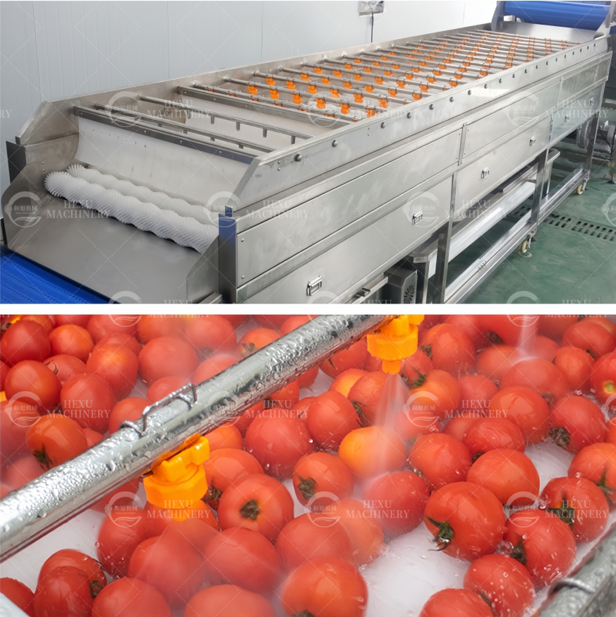 Introduction of Cherry Tomatoes Processing Machinery