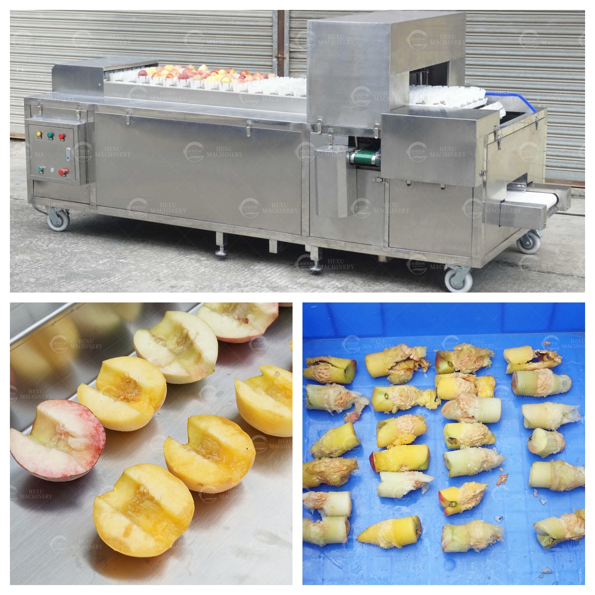 Peaches Processing Industry