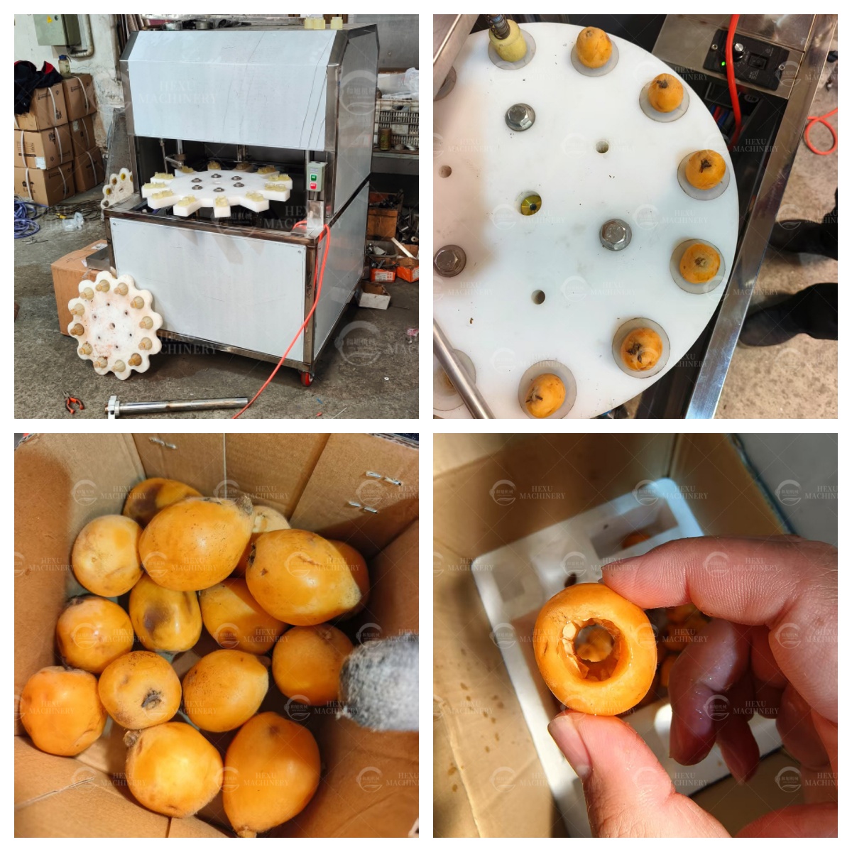 HEXU Precision: Streamlining Fruit Processing with Advanced Pitting Technology