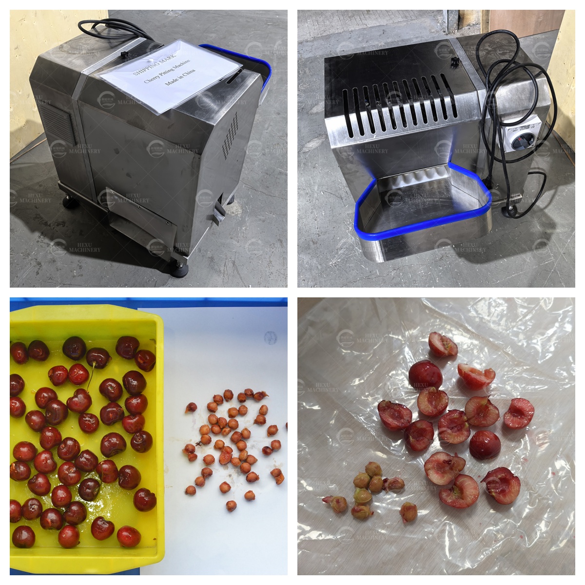 Fully Automatic Cherry Pitting Machine – Smart Solution for Efficient Fruit Processing