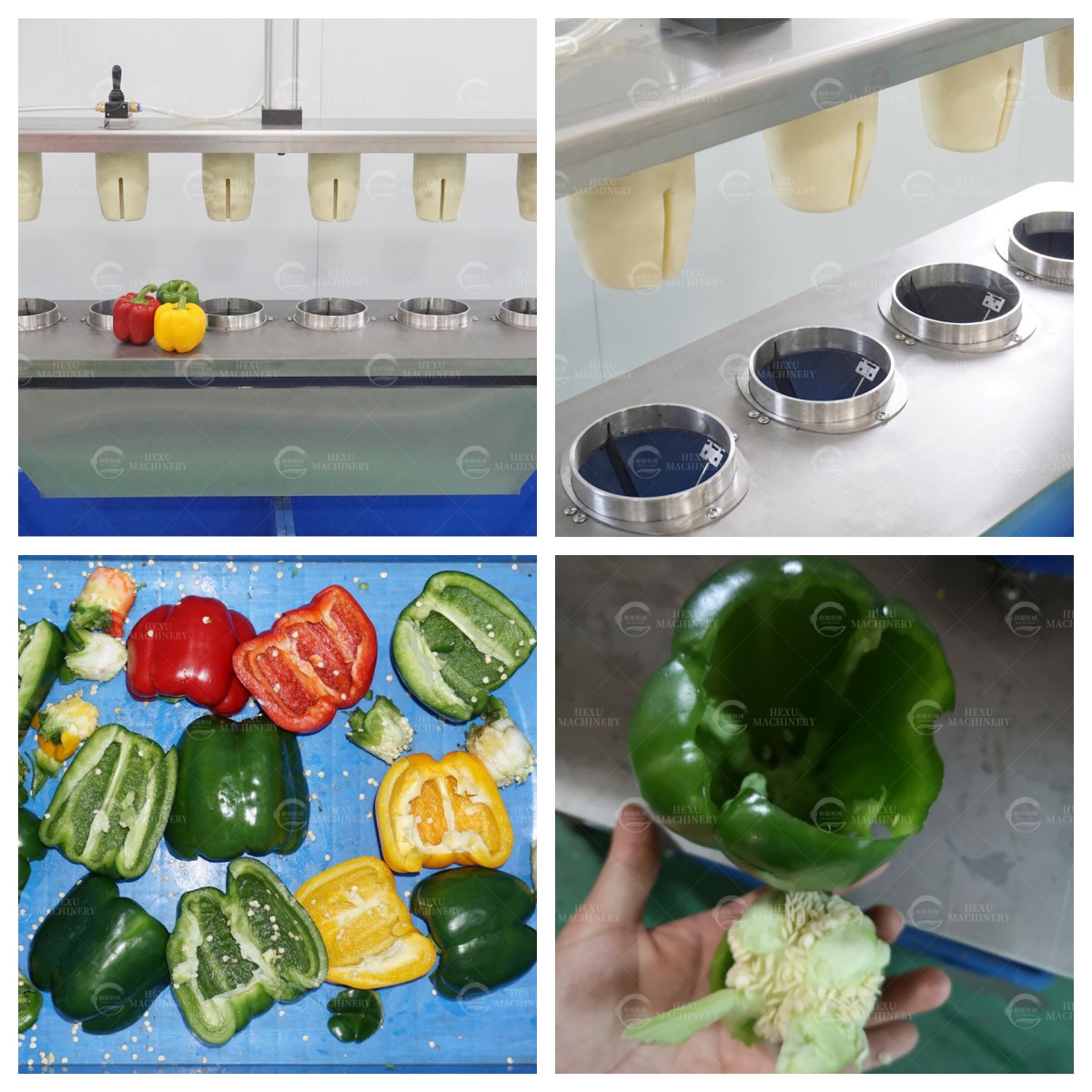 Upgrade Your Kitchen: Smart Vegetable, Meat & Cheese Cutters