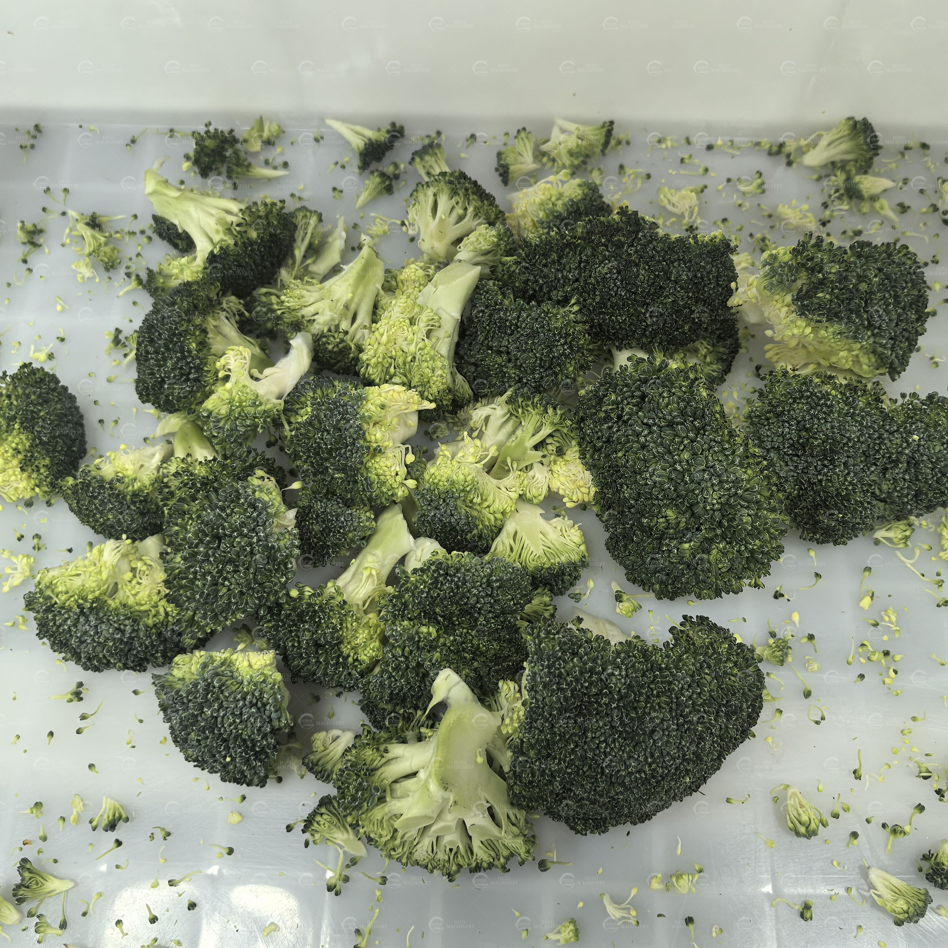 Revolutionizing Food Processing: The Automated Broccoli Floreting Machine