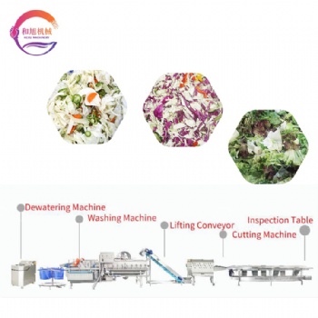 Salad Vegetable Processing Line