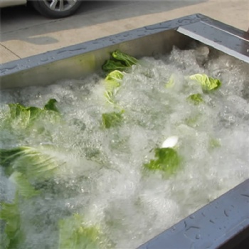 Leafy Vegetable Cutting Washing and Dewatering Line