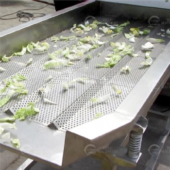 Leafy Vegetable Cutting Washing and Dewatering Line