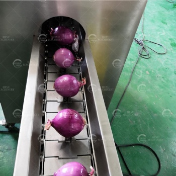 Onion Roots Cutting Machine