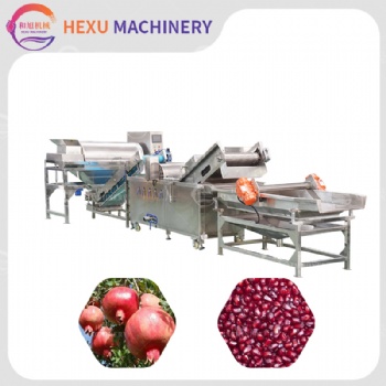 Pomegranate Peeling Washing and Dewatering Line
