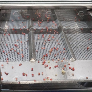 Pomegranate Peeling Washing and Dewatering Line