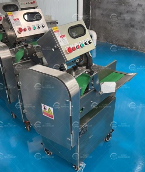 Vegetable Slicing and Shredding Machine