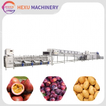 Fruits/Vegetables Washing Drying and Grading Line