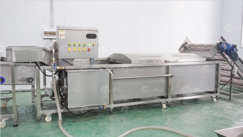 Fruits/Vegetables Washing Drying and Grading Line