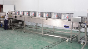 Fruits/Vegetables Washing Drying and Grading Line