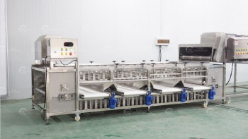 Fruits/Vegetables Washing Drying and Grading Line