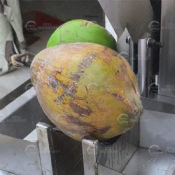 Coconut Half Cutting Machine