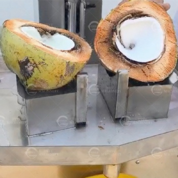 Coconut Half Cutting Machine