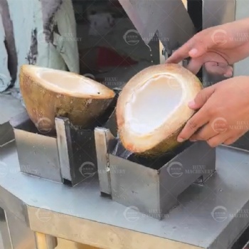 Coconut Half Cutting Machine