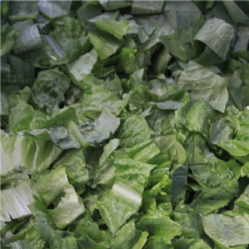 Leafy Vegetable Cutting and Washing Processing Line