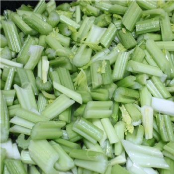 Leafy Vegetable Cutting and Washing Processing Line