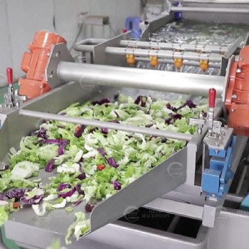 Leafy Vegetable Cutting and Washing Processing Line