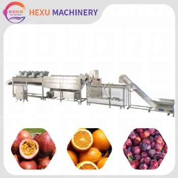 Fruits Washing and Drying Processing Line