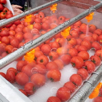 Fruits Washing and Drying Processing Line